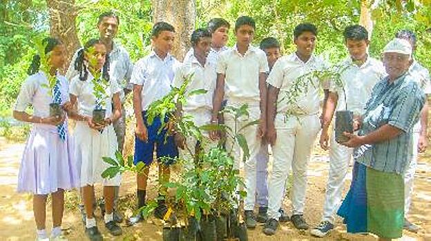 Национальный День посадки деревьев отмечают на Шри-Ланке