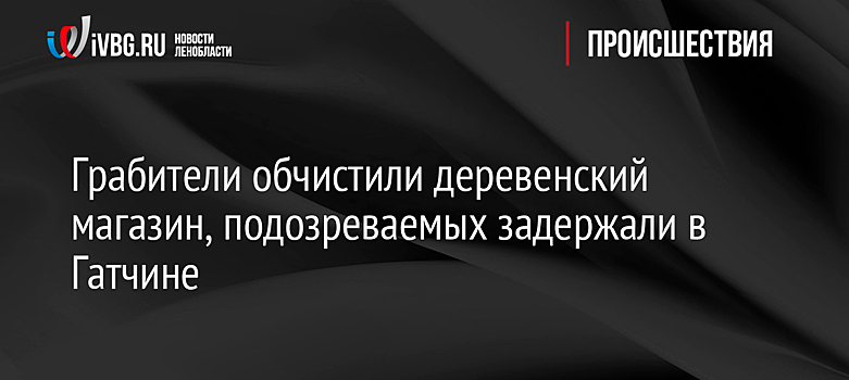 Грабители обчистили деревенский магазин, подозреваемых задержали в Гатчине