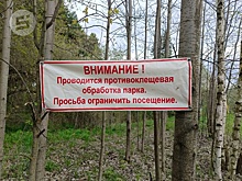 Первый этап обработки зелёных зон и кладбищ Ижевска от клещей и грызунов выполнен