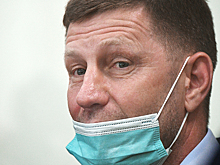 В ЛДПР нашли три замены Фургалу