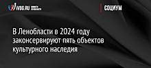 В Ленобласти в 2024 году законсервируют пять объектов культурного наследия