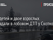 Двое детей и двое взрослых пострадали в лобовом ДТП у Скотного