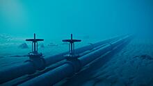 Шум от подводной добычи полезных ископаемых вредит экологии в радиусе до 500 км — исследование