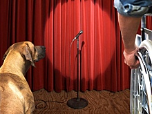 Лучше слово «инвалид», чем излишняя политкорректность, считают вологжане с ОВЗ