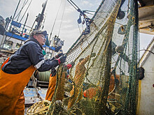 Рыбаков не выпустят в море без прививки от коронавируса