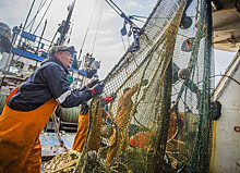 Рыбаков не выпустят в море без прививки от коронавируса