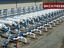Эксперт назвал газовые проблемы, с которыми столкнется Европа зимой из-за газа