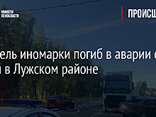 Водитель иномарки погиб в аварии с фурой в Лужском районе