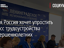 Единая Россия хочет упростить процесс трудоустройства несовершеннолетних
