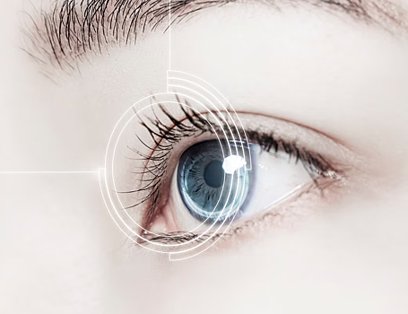 Белки водорослей помогут лечить возрастную дегенерацию сетчатки