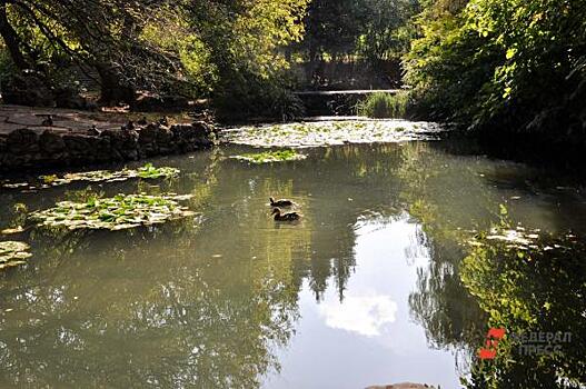 На Кубани начнут выращивать раков