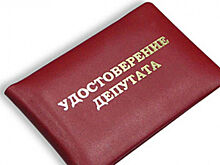 Депутатские демарши