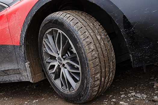 В России появились новые шины Torero MP47: плюсы и минусы модели