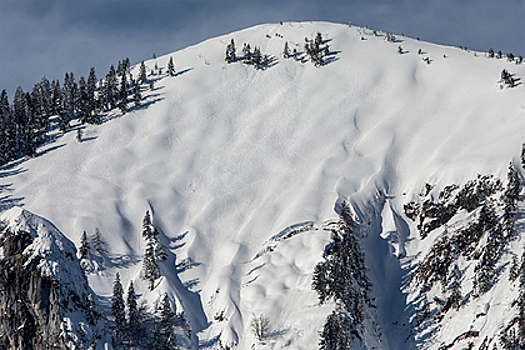 Туристов в Сочи предупредили об опасности