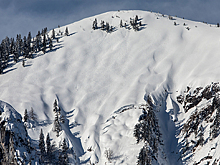 Туристов в Сочи предупредили об опасности