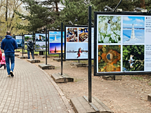 В «Усадьбе Воронцово» открылась фотовыставка «Четыре сезона в Тверской области»