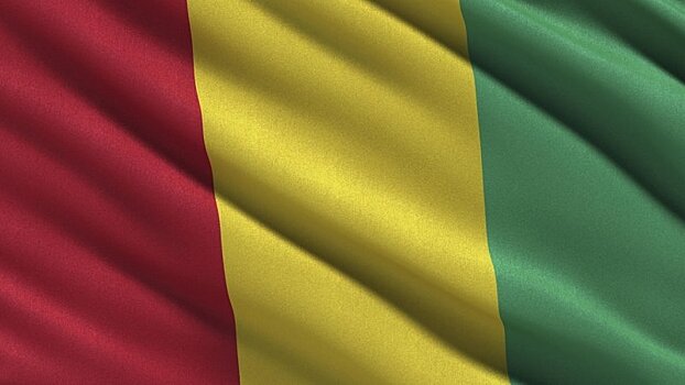 Председатель Нацсобрания Гвинеи выступил за активизацию сотрудничества с РФ
