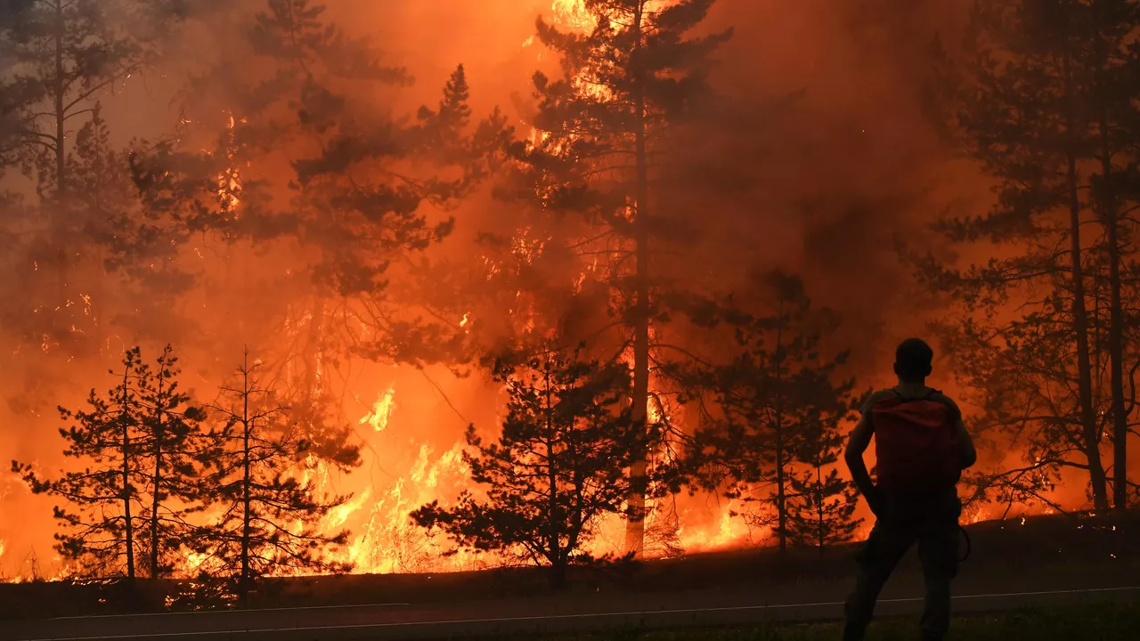 Площадь лесных пожаров в Хабаровском крае значительно уменьшилась