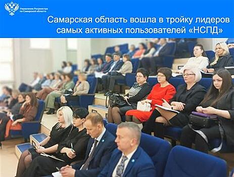 Самарская область вошла в тройку лидеров самых активных пользователей "Национальной системы пространственных данных"