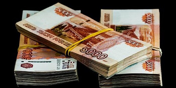 В Домодедове задержали женщину по подозрению в мошенничестве на 12 млн рублей