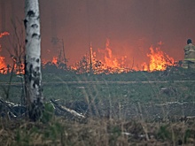 В Якутии зафиксировали четыре лесных пожара