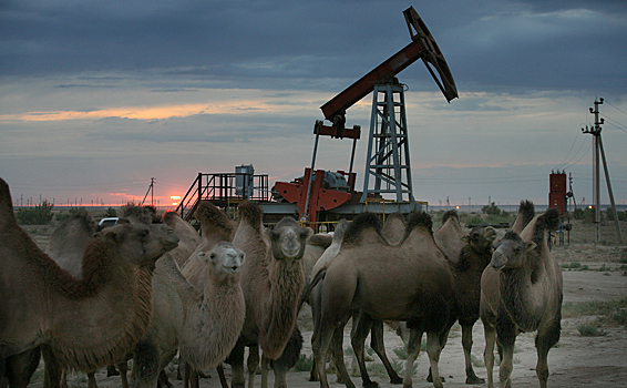 В Казахстане приняли закон о транспортировке российской нефти в Китай