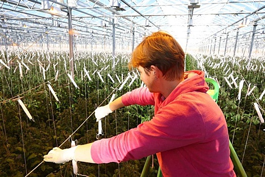 В Астраханской области ждут открытия новых предприятий