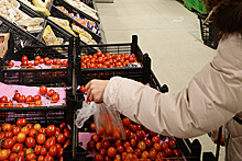 Минсельхоз предложил отсрочить возвращение турецких томатов в Россию