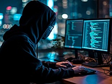 В России появится новый альянс против интернет-мошенников