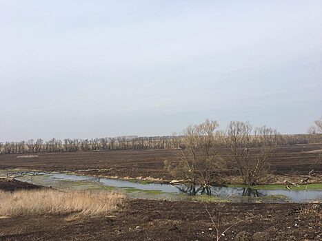 Речка превратилась в навозное болото в Серебряно-Прудском районе