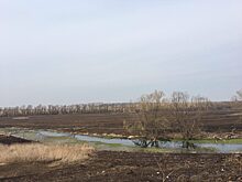 Речка превратилась в навозное болото в Серебряно-Прудском районе