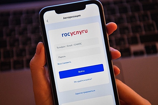 Опрос: 60% пользователей "Госуслуг" опасаются кибермошенников и утери данных