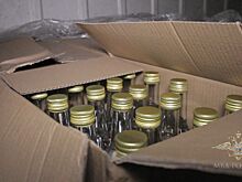 Пандемия стала причиной роста доли нелегального алкоголя в России