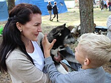 В Твери прошли День охотника и выставка охотничьих собак