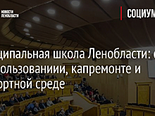Муниципальная школа Ленобласти: о водопользованиии, капремонте и комфортной среде