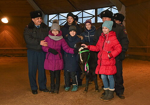 Новогодний подарок: пони будут помогать детям-инвалидам в Петропавловске