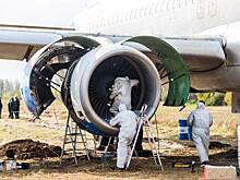 «Известия» подсчитали траты на Airbus A320 в поле под Новосибирском