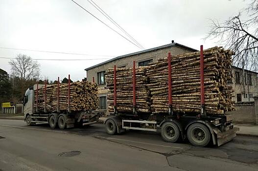 В Новгородской области поддержат экспорт леса в Азию и на Дальний Восток