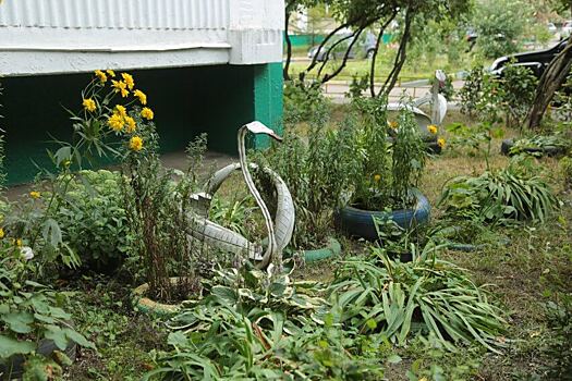 Украшения из покрышек на Фестивальной заменят цветами