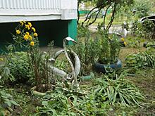 Украшения из покрышек на Фестивальной заменят цветами