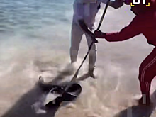 Турист попал в больницу после прогулки по египетскому пляжу