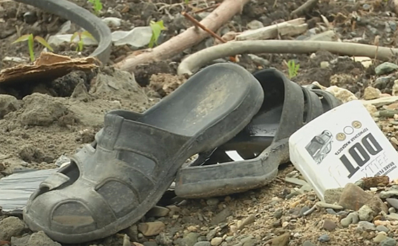 Мусором завалили дачи в Бердске