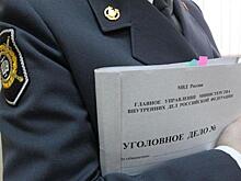 «ФСБшники» обокрали россиянку на 5 млн рублей