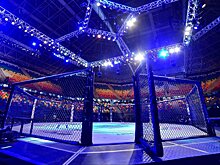Назван победитель в поединке на UFC Fight Night Island 7