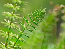 Найдено чудо инженерной мысли, производящее «инопланетную» воду