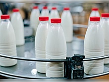 В российских сельхозорганизациях объем реализации молока вырос на 3,6%