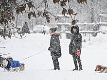 Москвичей предупредили о ежедневных снегопадах