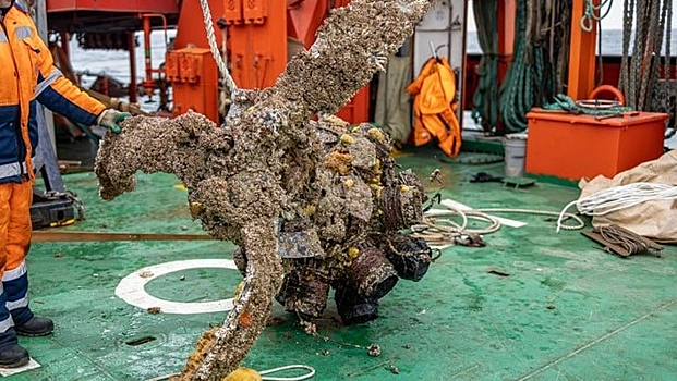 Морские гады всплыли из пучины вместе с обломками самолета на Сахалине