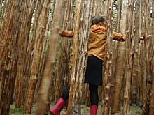 Около 11 тысяч человек посетило калужский  фестиваль «Архстояние 2021»