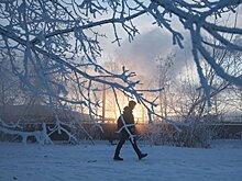 Ночь на 12 января в Москве может стать самой холодной с начала зимы